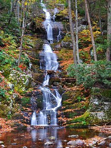 Stokes State Forest