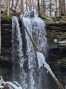 Jacoby Falls