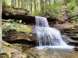 Round Island Run Falls