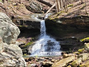Morgans Falls
