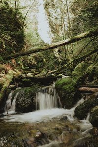 Explorer Falls