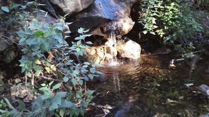 Big Dalton Wash