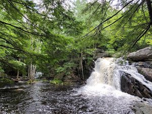 Purgatory Brook