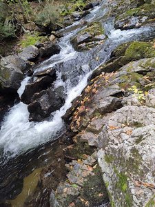 Big Pup Falls