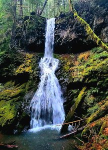 Trestle Creek Falls Trail 1403c