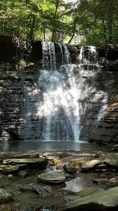 Reynolds Gully