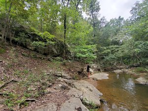 Cedar Falls
