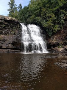 Swallow Falls Natural Area
