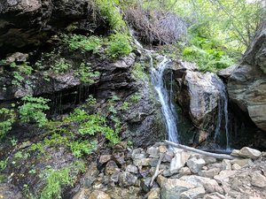 Hornet Creek