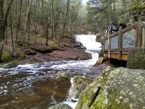 Enders Brooks Falls