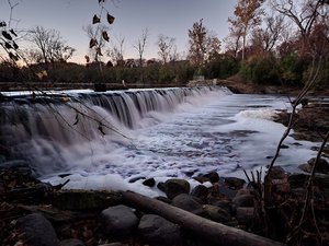 Fullersburg Woods Forest Preserve