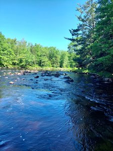 Basford Falls Trailhead