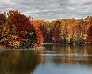 Ferne Clyffe Lake