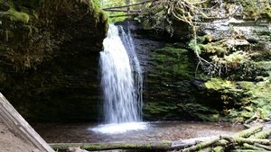 Fern Falls