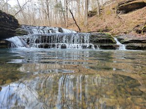 Tarkiln Hollow