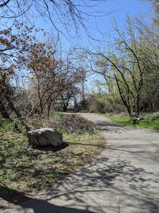 Farmington Creek Trail
