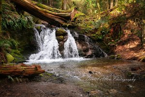 Rustic Falls