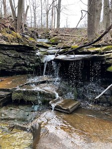 Johnson Falls