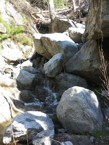 Cow Flat Creek