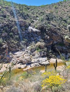 Upper Tanque Verde Trailhead
