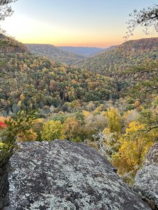 Buzzards Roost