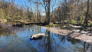 Gilpin’s Falls Covered Bridge