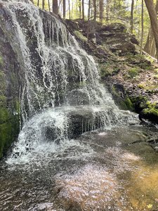 Gunn Brook