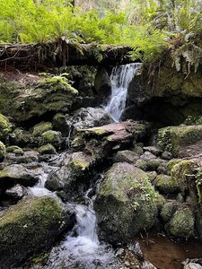 Trillium Falls trailhead