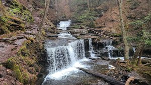 Falls Trail