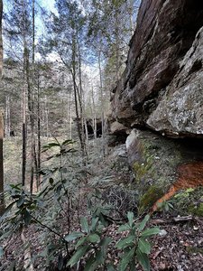 South Fork Koger Creek Falls