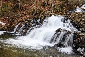 Parking and Trailhead – McLean Game Refuge