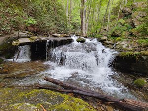 Trailhead for Findley Falls