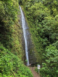 Manoa Falls
