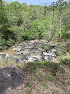White’s Mill Park Trail