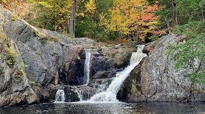 Crystal Falls State Forest Area