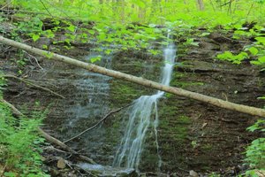 Eagle Trail