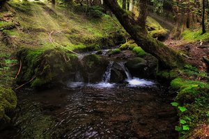 Ramona Falls