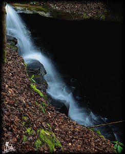 Marcus falls