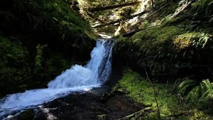 Covel Creek Falls and Angel Falls Trailhead