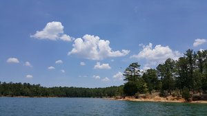 Calhoun Falls Campground