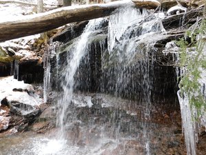 Angel Falls