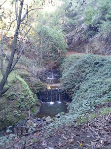 Ward Creek