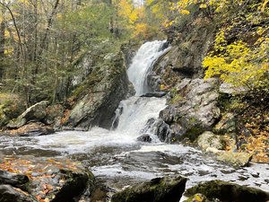 Campbell Falls