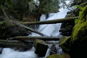Salmon Falls