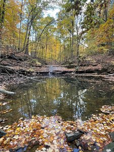 Wolf Creek Waterfall