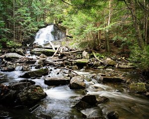 Alder Falls