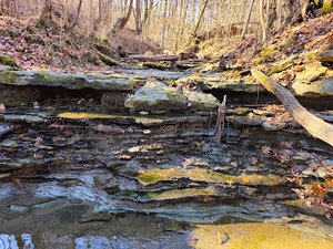 Moser Branch Double Falls