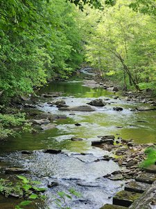 Clear Creek Hollow Trail Parking