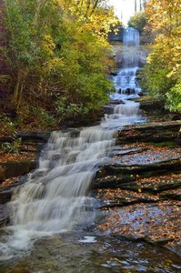 Dismal Falls