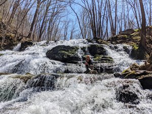 Falls Of Logan Creek